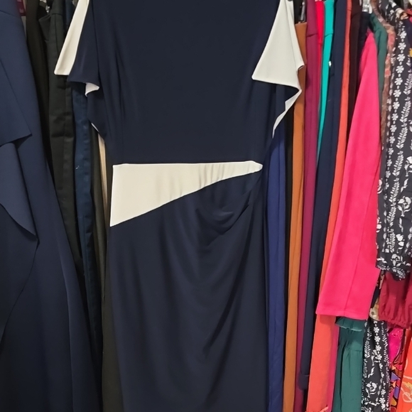 Elegant Navy and White Dress - Picture 1 of 4